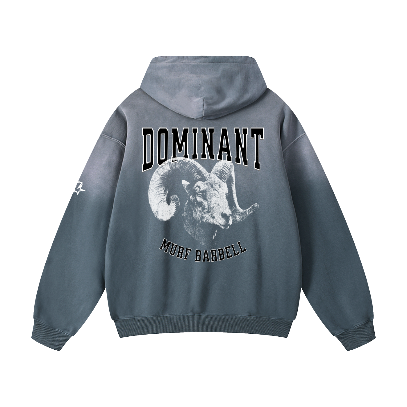 Ram Sunfade Hoodie