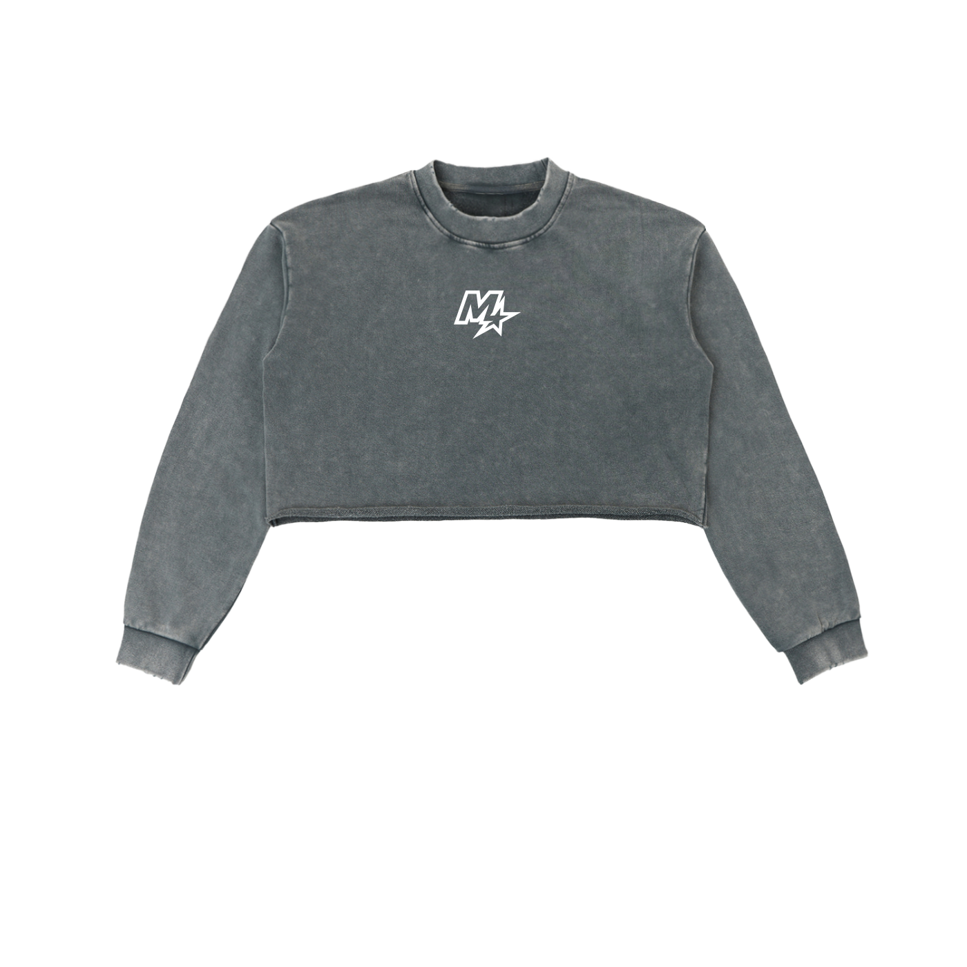Snow Washed Cropped Sweatshirt