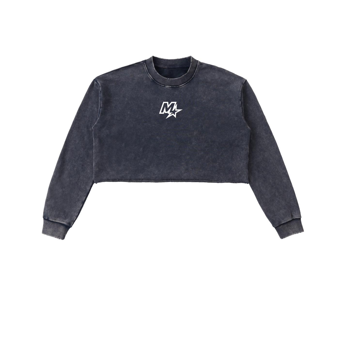 Snow Washed Cropped Sweatshirt