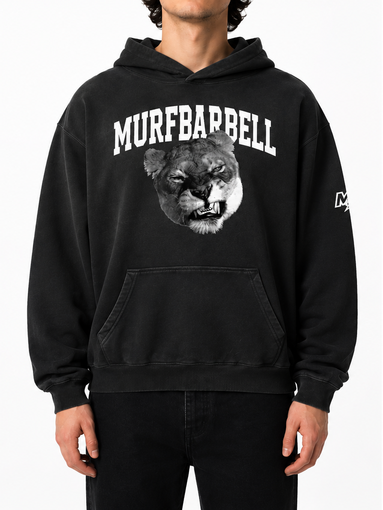 Lioness Sunfade Hoodie